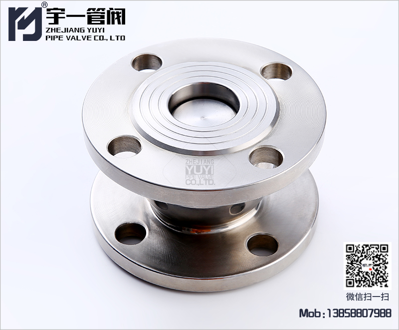 Flange Check Valve