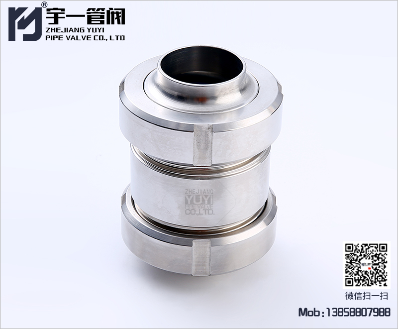 Union check valve